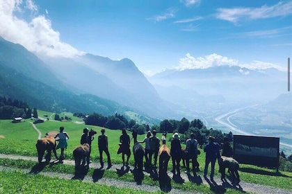 Lama hike with delicious BBQ in the middle of the forest