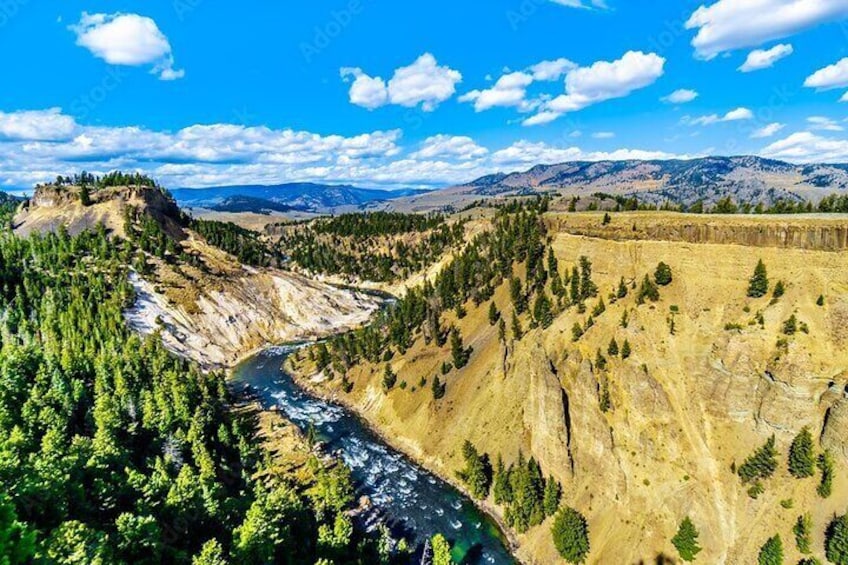 From Bozeman Yellowstone Full Day Tour Upper Loop