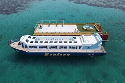 Experience Panorama Semi-Submarine Trip & Snorkeling – Hurghada