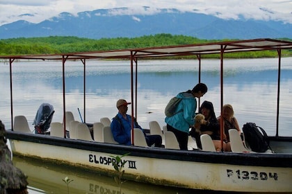 Damas Island Quepos Authentic Local Mangrove Boat Tour