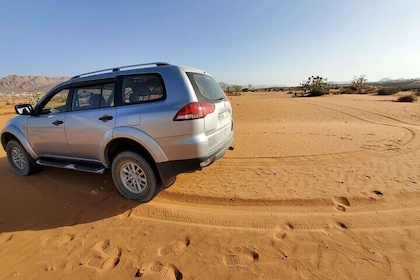 Sahara Desert Adventure from Agadir