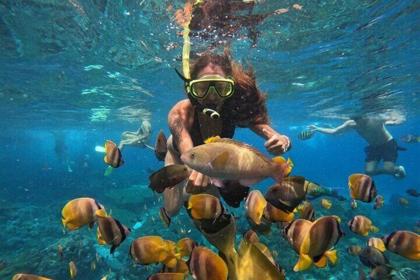 Nusa Penida Shared Snorkeling Two Spots with Manta Point