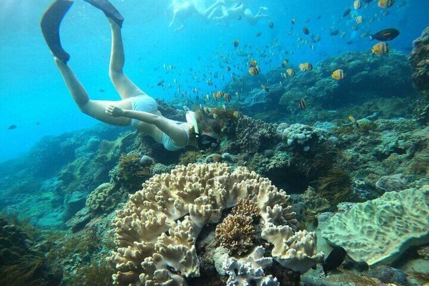 Nusa Penida Shared Snorkeling Two Spots with Manta Point