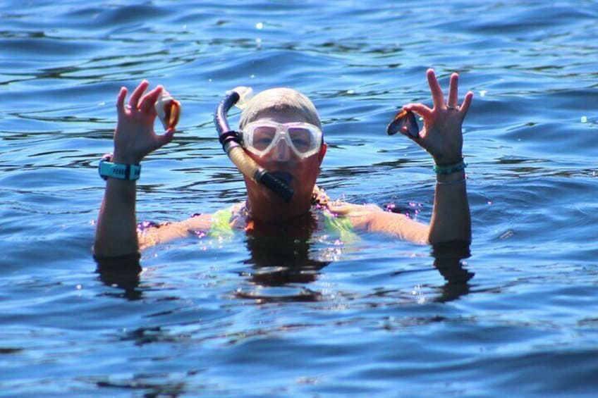 Dolphin Snorkel Tour