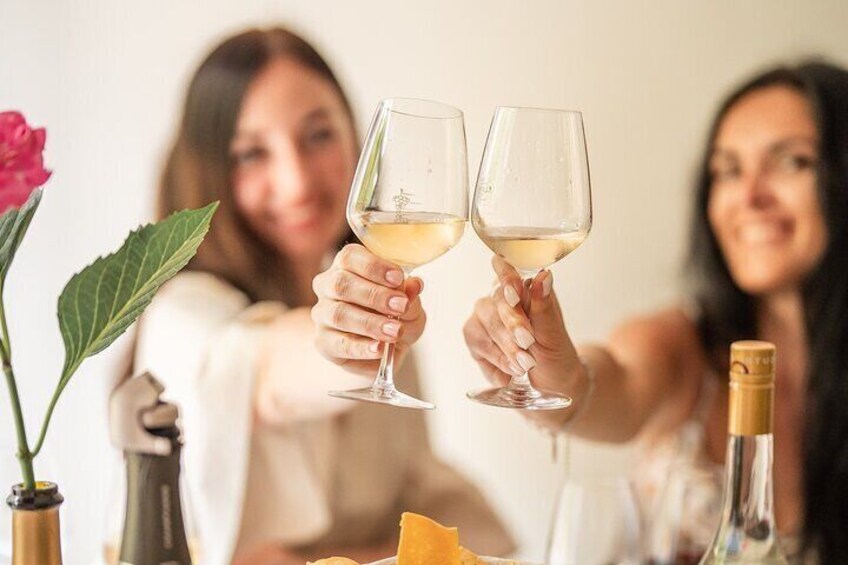 Introduction to Wine Tasting in Nice city centre