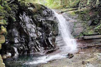 Experience Da Nang Hoi An to Hue via Bach Ma National Park Trekki