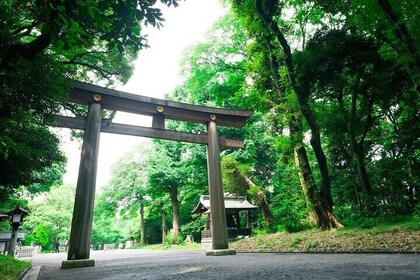 Tokyo Top 5 Sights in 6hr Licensed Guide Private Walking Tour