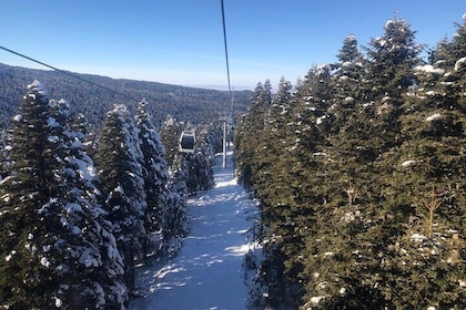 Tour diario de Bursa Uludag con teleférico y almuerzo