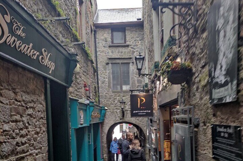 Private Day Trip Waterford/Kilkenny from Dublin