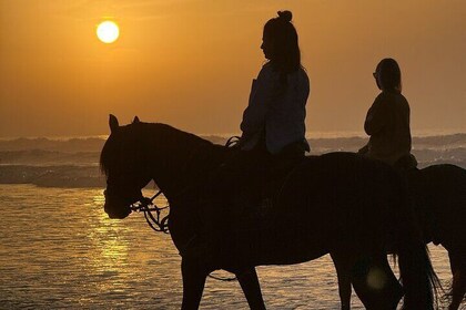 Horseback Riding in Essaouira - Essaouira HorseRiding