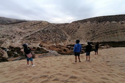 Private 1-Hour Quad Ride on Forest and Dunes from Essaouira