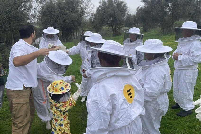 Evora Discover the World of Bees Guided Visit to an Apiario