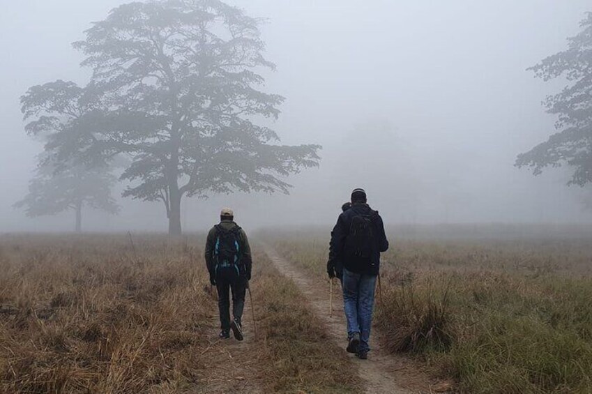 Full Day walking safari at Bardia National Park