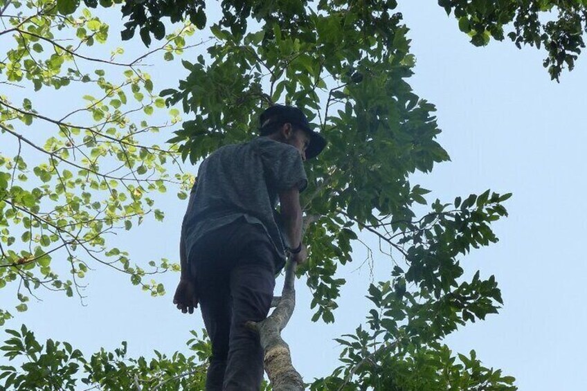 Full Day walking safari at Bardia National Park
