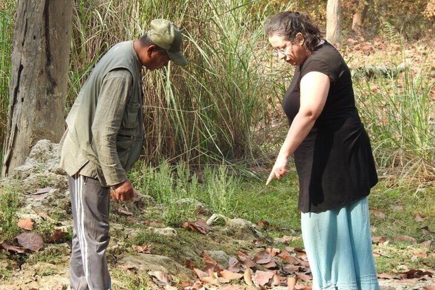 Full Day walking safari at Bardia National Park