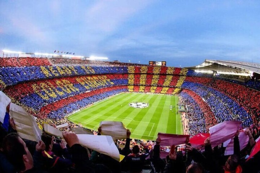 Barcelona Walking Tour Camp Nou Stadium