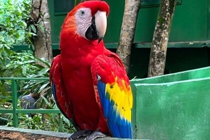 Roatan Islands culture Tour
