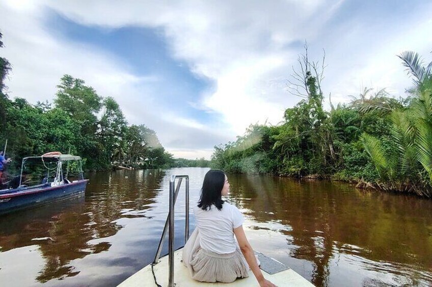 Bongawan River Cruise Proboscis Monkey and Fireflies with Meals