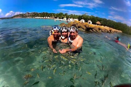 Baru White Beach Tour with Snorkelling Raccoons and Mangroves