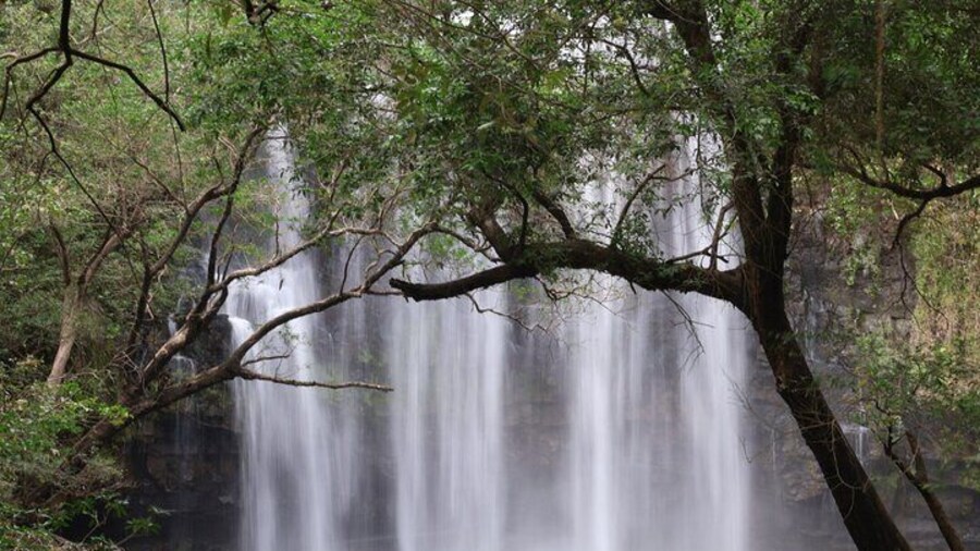 Llanos de Cortés Waterfall – A breathtaking natural curtain of water, perfect for swimming and relaxing