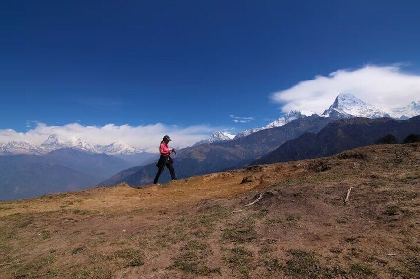 Between the Clouds A Journey to Chimborazo