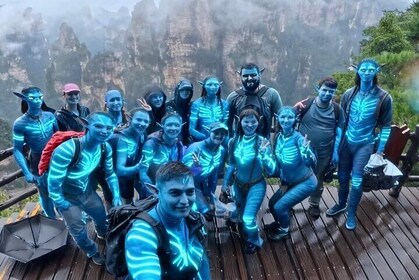 Private Zhangjiajie National Forest Park Day Tour