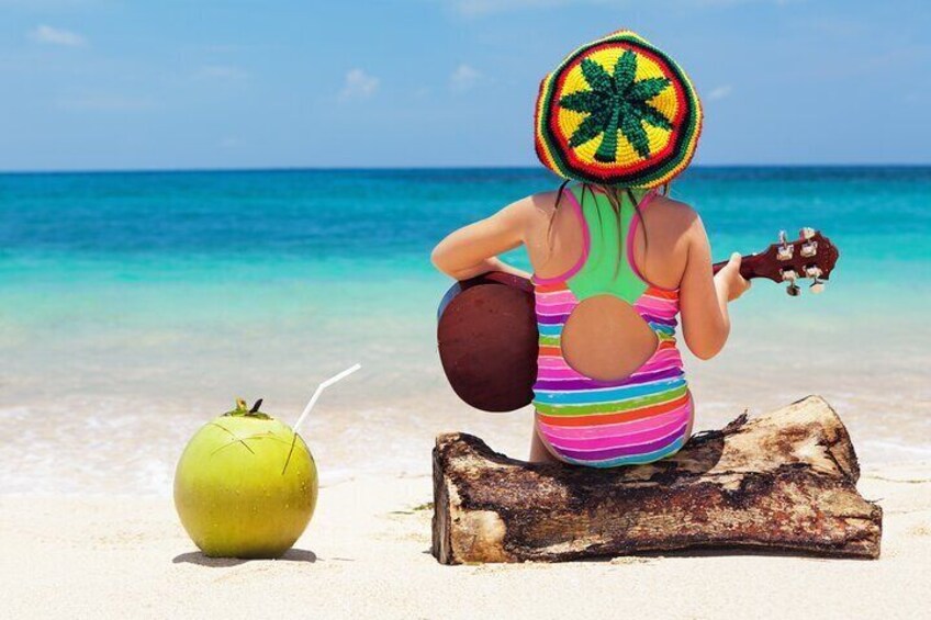 7 in 1 Day Jamaican Adventure with Jhadano Tours