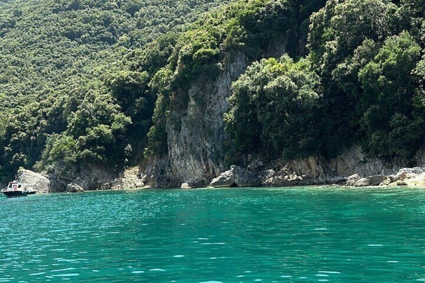 Aris Boat Tour