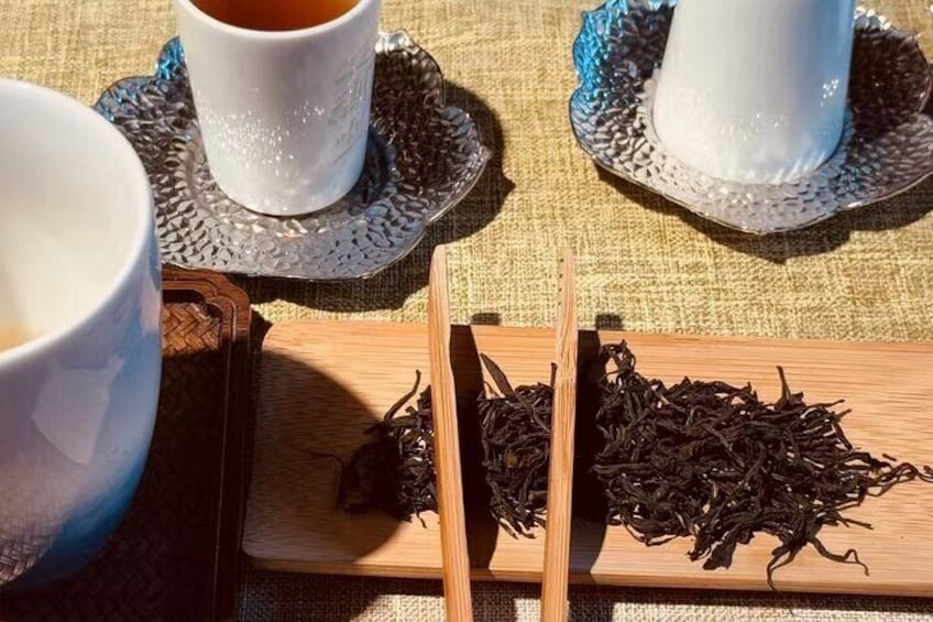 Tianshan Tea City Tea Tasting Experience