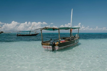 Safari Blue and Sandbank Tour