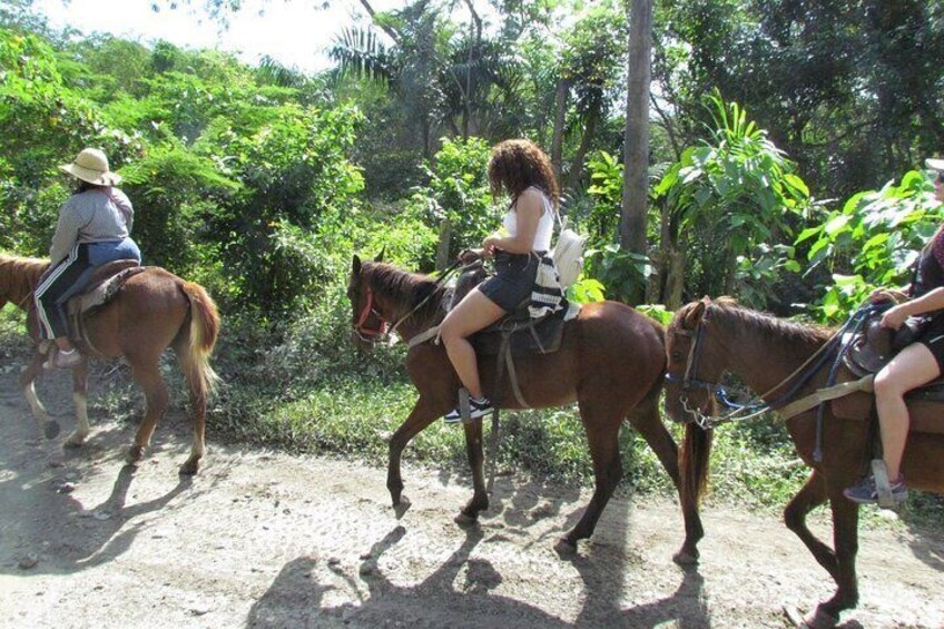 Horseback Riding on the Beach in Puerto Plata