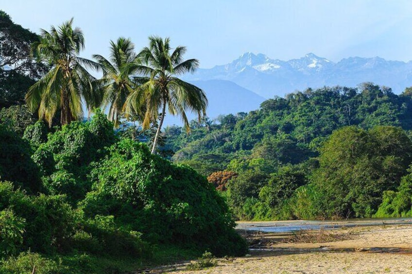 Palomino Guajira Tour from Santa Marta with Breakfast and Lunch