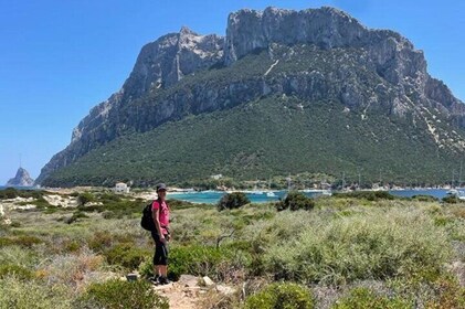 Coastal Trekking around Tavolara from Porto San Paolo