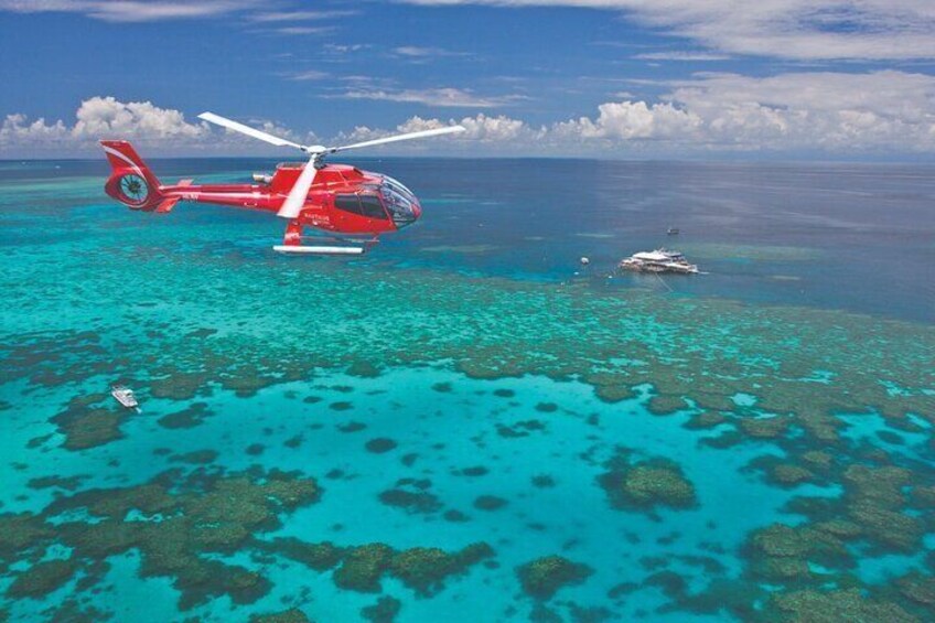 Coromandel Helicopter Tours Scenic Flights over the Coromandel