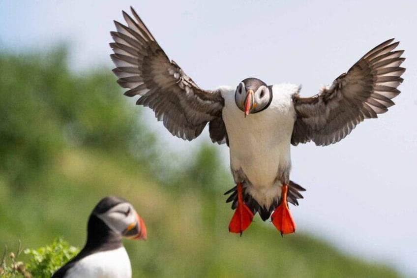 Incredible Scotland - Bespoke Multi Day Private Tours