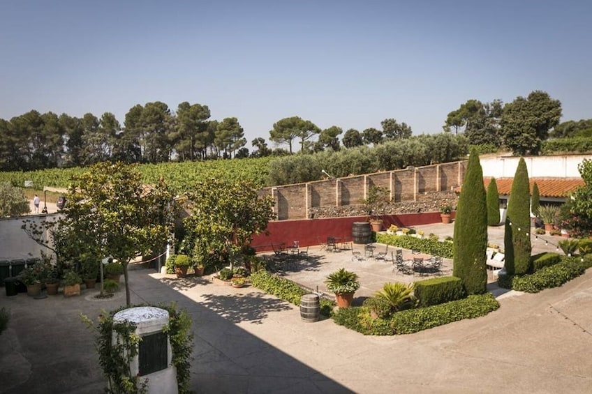 Montserrat Half-Day Trip from Barcelona with Lunch & Wine Tasting Option