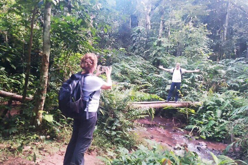Trekking Trail