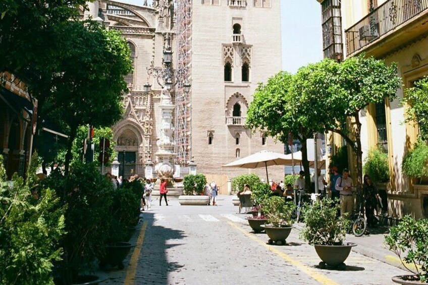 Private Shore Excursion the Marvels of Seville