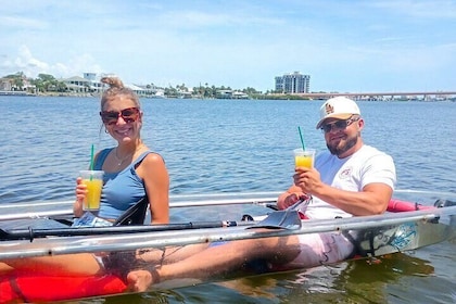 New Smyrna Mangrove Paddle & Mimosa Tour