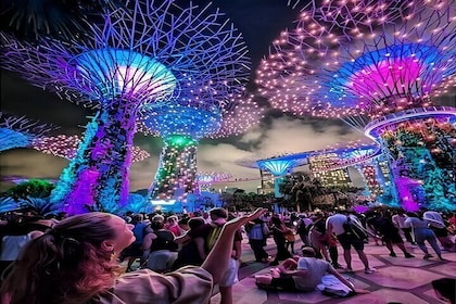 Singapore River Cruise and 2 Must-see Water Light Shows