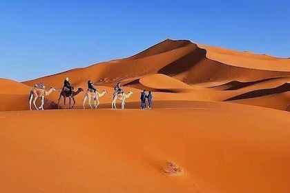 5-Day Luxury Sahara Desert Tour From Marrakech