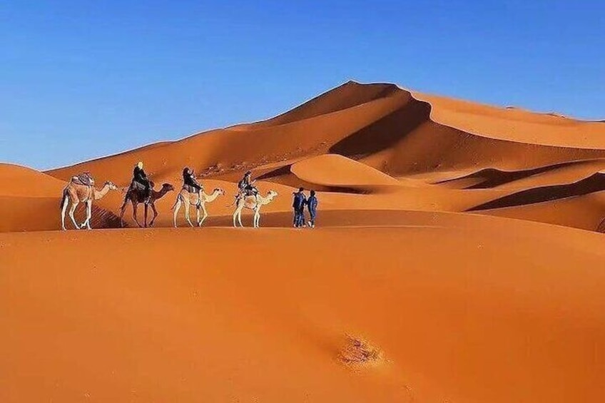 5-Day Luxury Sahara Desert Tour From Marrakech