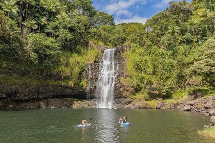 The Ultimate Waterfall Experience (Private Tour)