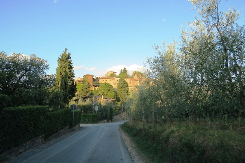 From Florence to Chianti by E-Bike: Ride Through Vineyards & Hills