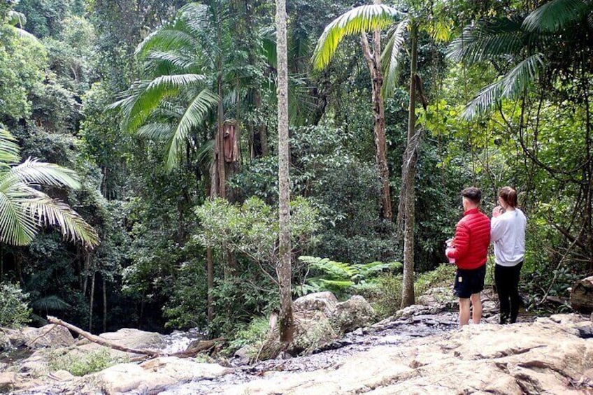 Green Falls