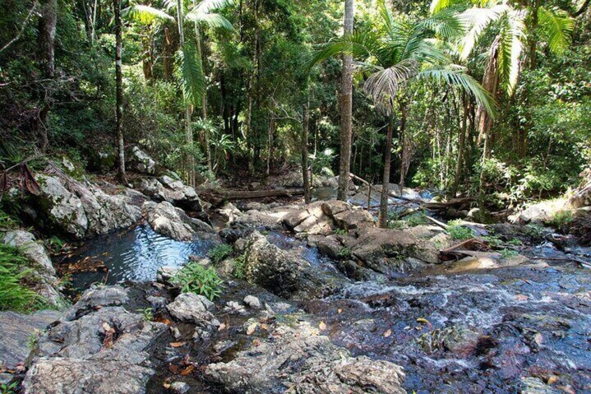 Green Falls