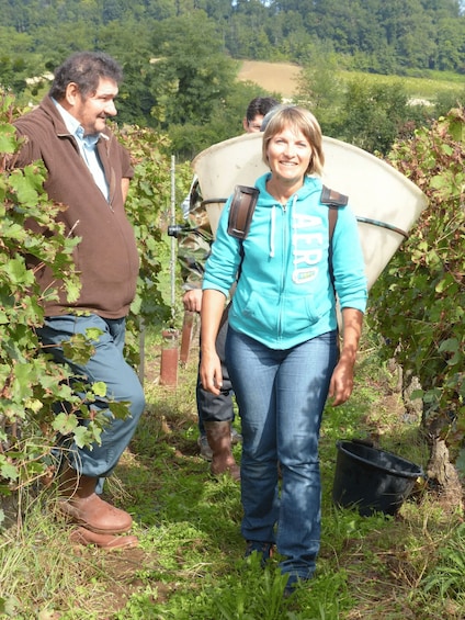 Picture 6 for Activity Saint-Emilion : Tasting of 4 wines in a family vineyard