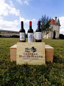 Saint-Emilion : Tasting of 4 wines in a family vineyard