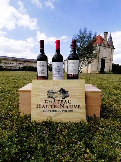 Saint-Emilion : Tasting of 4 wines in a family vineyard
