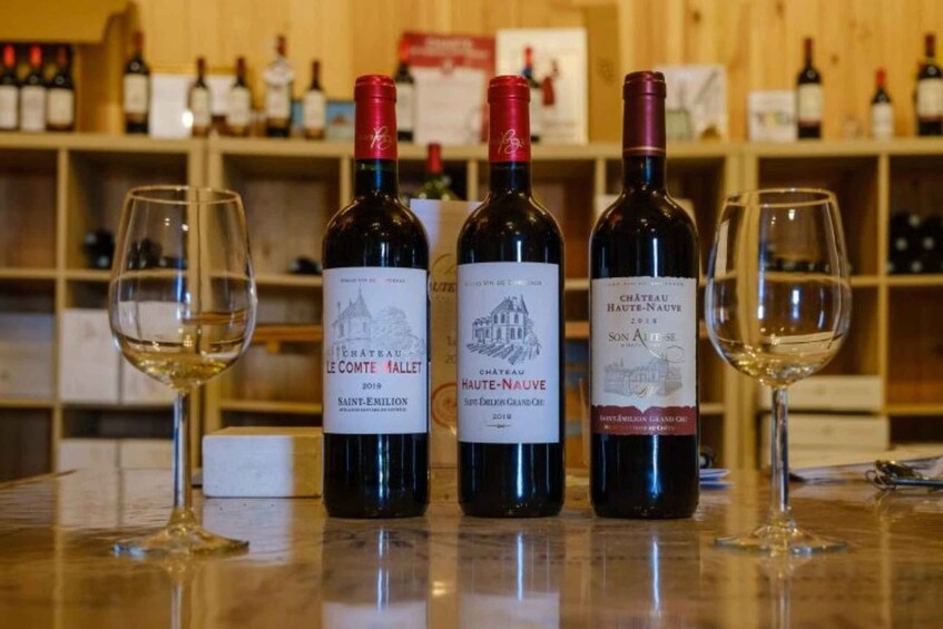 Picture 1 for Activity Saint-Emilion : Tasting of 4 wines in a family vineyard